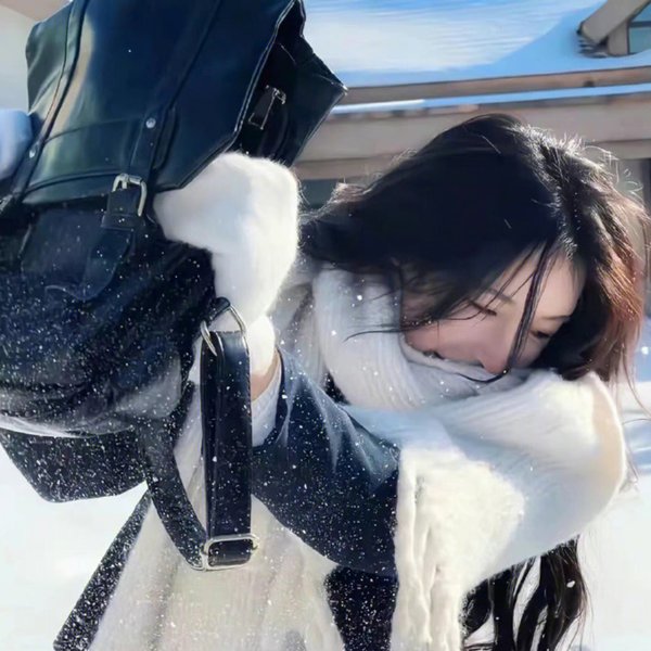 兔年